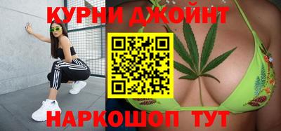 сатива Будённовск