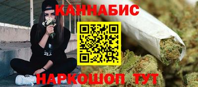 сатива Будённовск