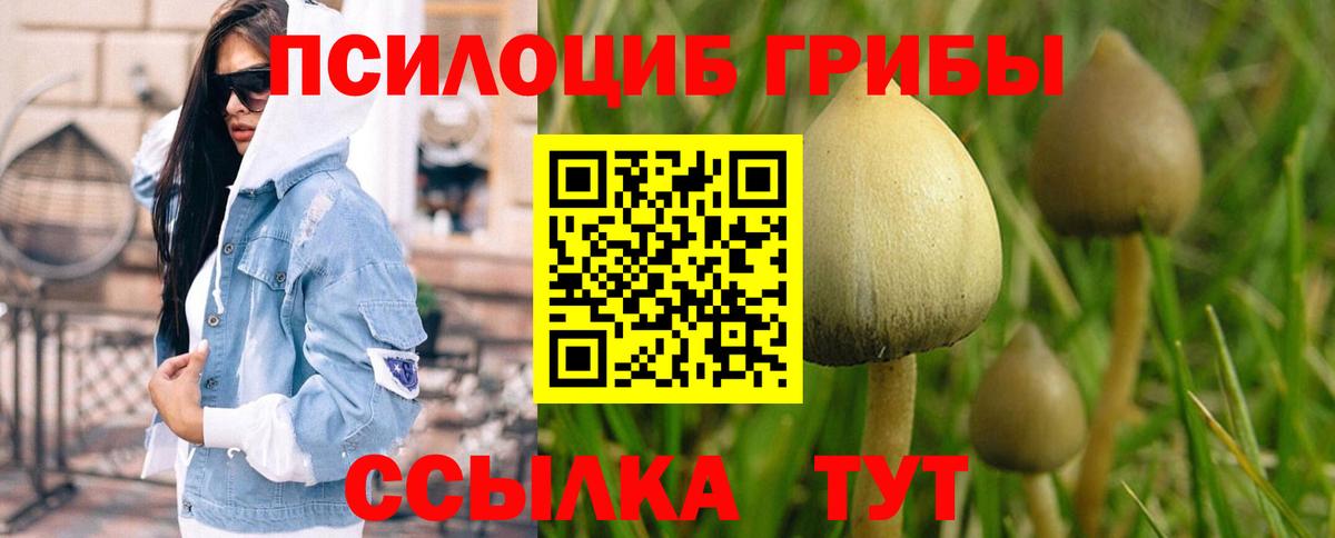 Псилоцибиновые грибы Cubensis  Псилоцибиновые грибы Cubensis  Нижний Новгород  Вход с VPN 